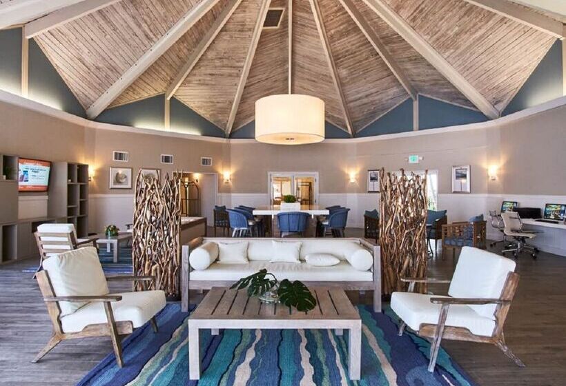 هتل Palm Tree Club Miami