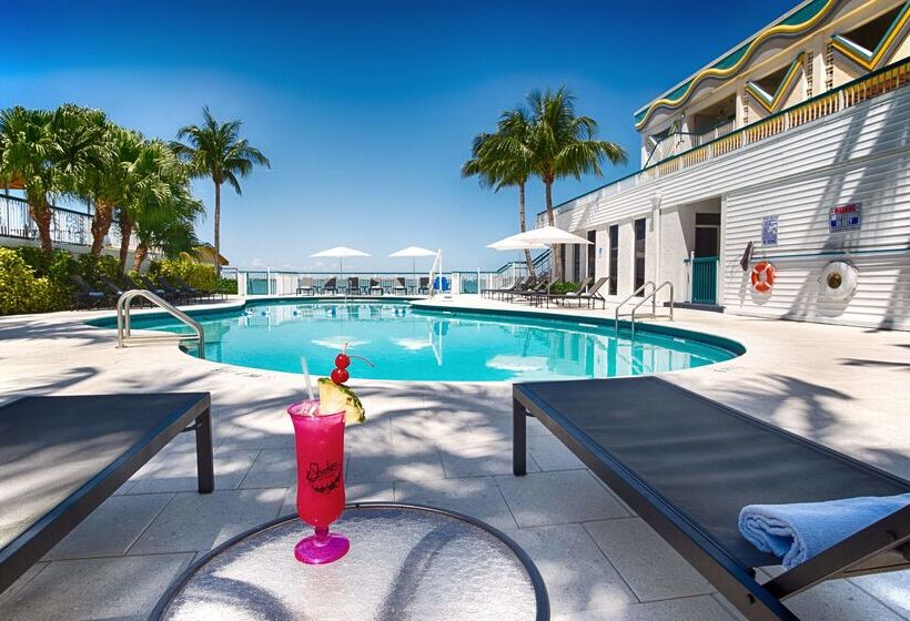 هتل Palm Tree Club Miami