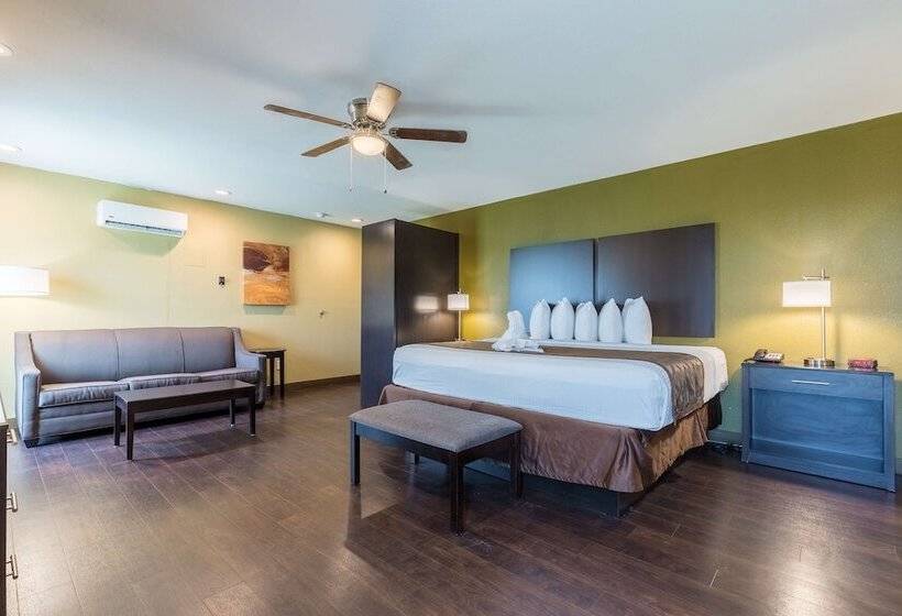 酒店 Best Western Padre Island