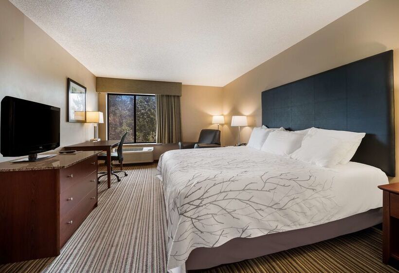 Отель Best Western Park Oasis Inn