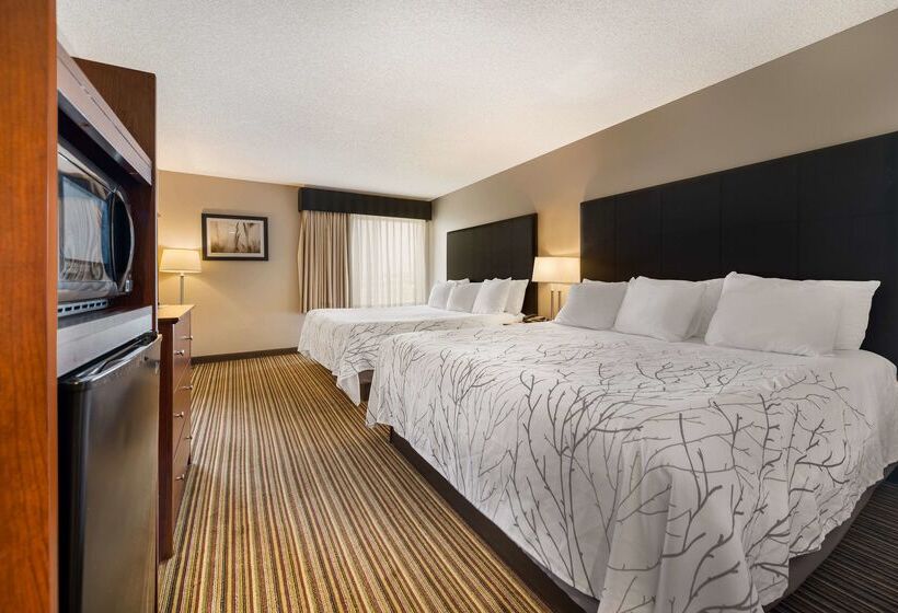 Отель Best Western Park Oasis Inn