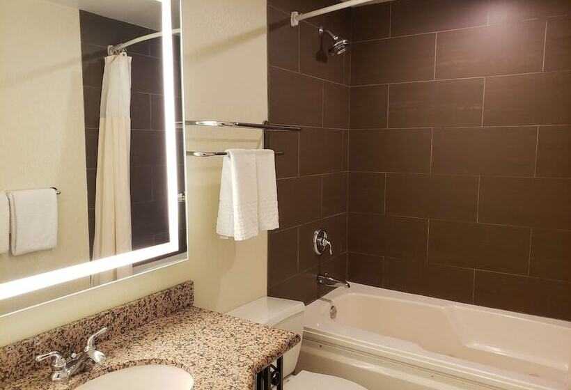 هتل Best Western Plus Hawthorne Terrace