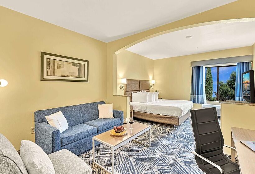 ホテル Best Western Plus Lewisville Flower Mound