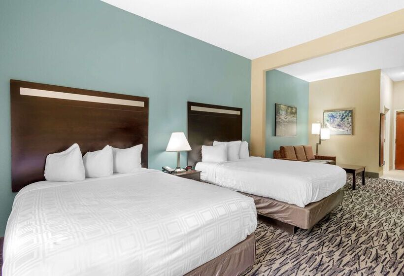 فندق Best Western Plus Mcdonough Inn & Suites