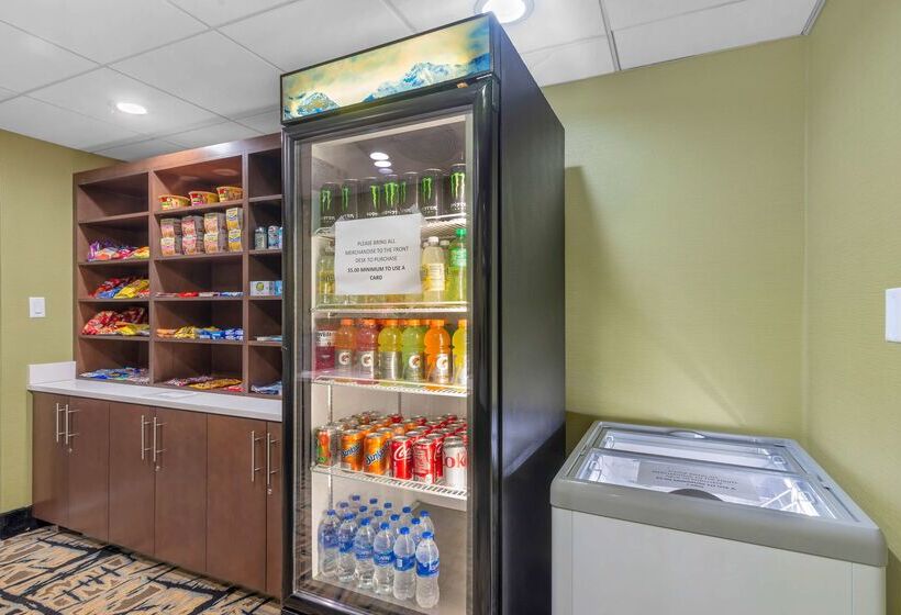 فندق Best Western Plus Mcdonough Inn & Suites