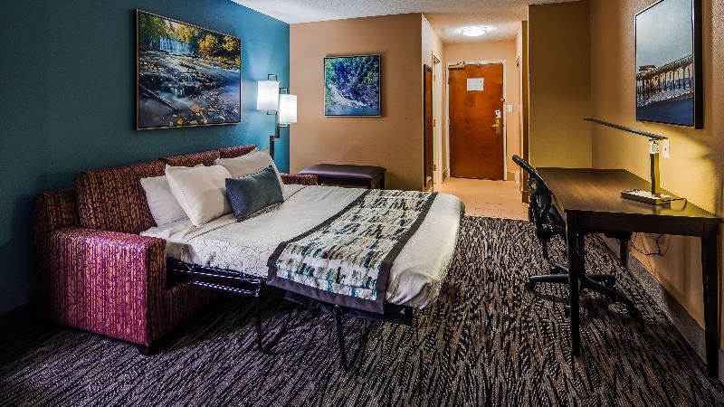 هتل Best Western Plus Mcdonough Inn & Suites