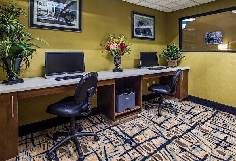 فندق Best Western Plus Mcdonough Inn & Suites