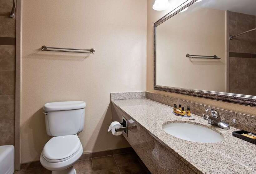 هتل Best Western Plus North Canton Inn & Suites
