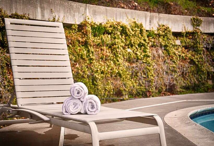 هتل Best Western Willits Inn