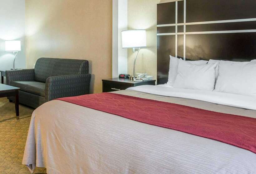 호텔 Comfort Inn & Suites Maumee   Toledo I80 90