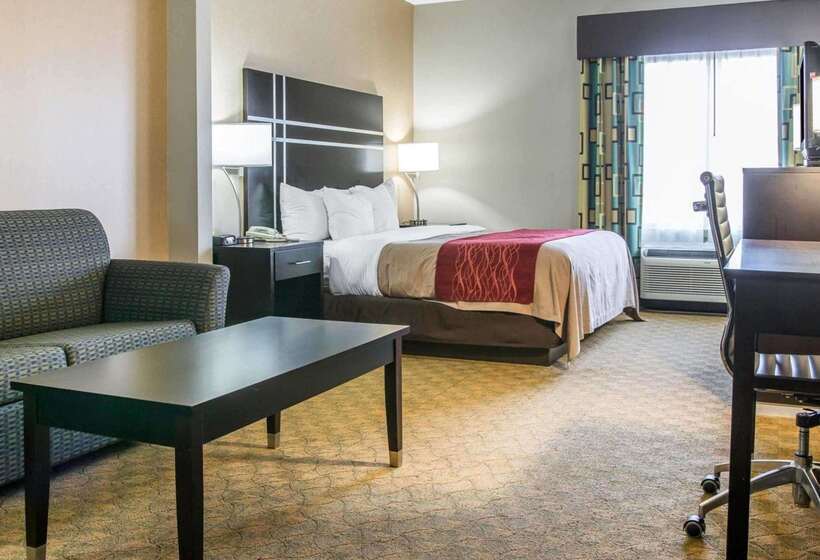 호텔 Comfort Inn & Suites Maumee   Toledo I80 90