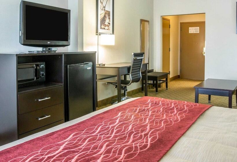 هتل Comfort Inn And Suites Maumee  Toledo