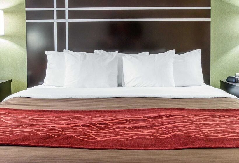 호텔 Comfort Inn & Suites Maumee   Toledo I80 90