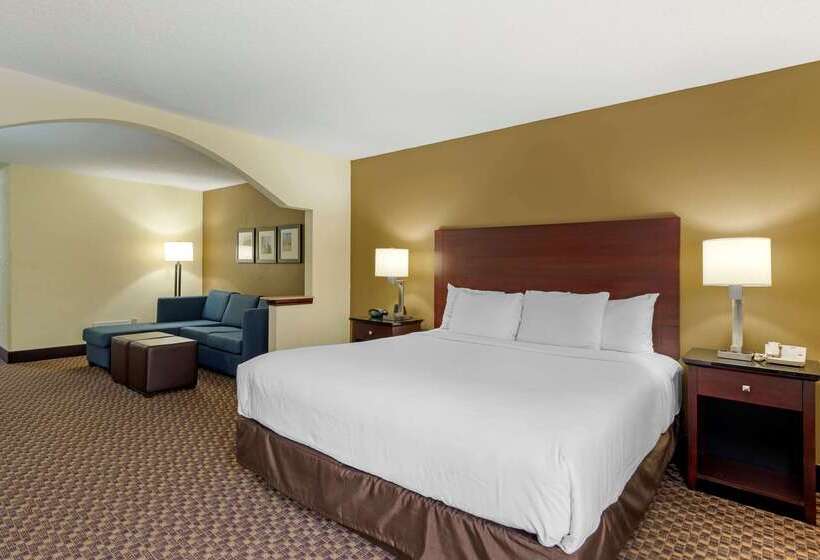هتل Comfort Suites Milledgeville