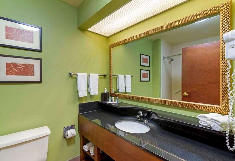 هتل Comfort Suites Milledgeville