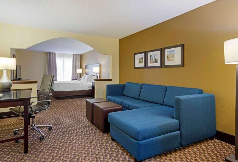 هتل Comfort Suites Milledgeville
