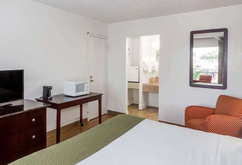 Hotel Days Inn By Wyndham St. Petersburg / Tampa Bay Area