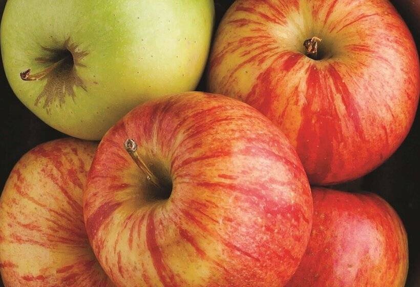 فندق La Quinta By Wyndham Erie