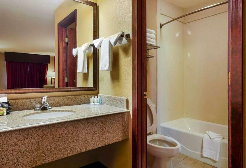 فندق Quality Inn & Suites