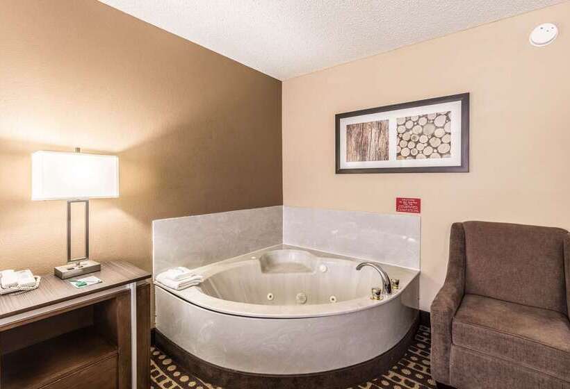 酒店 Quality Inn