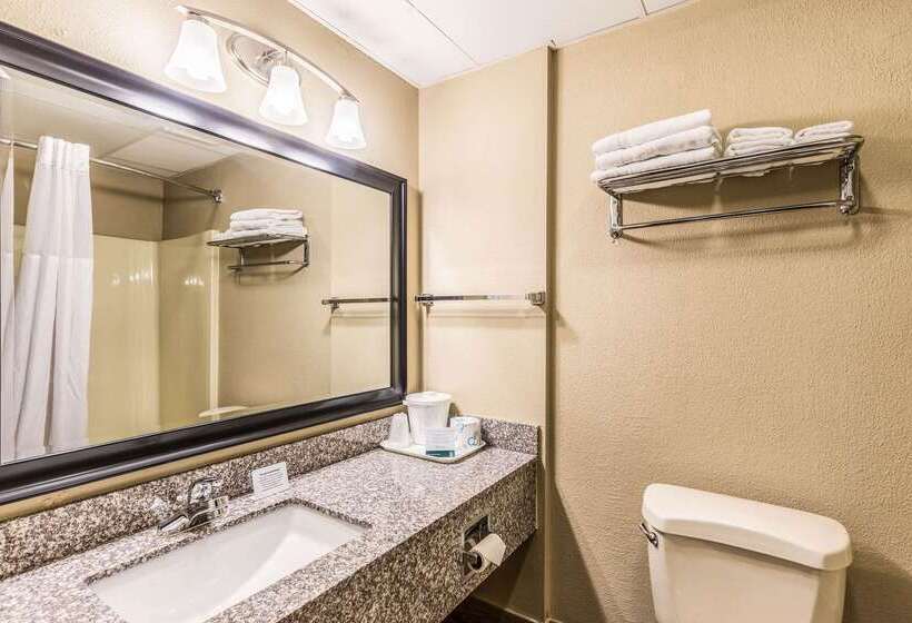 酒店 Quality Inn