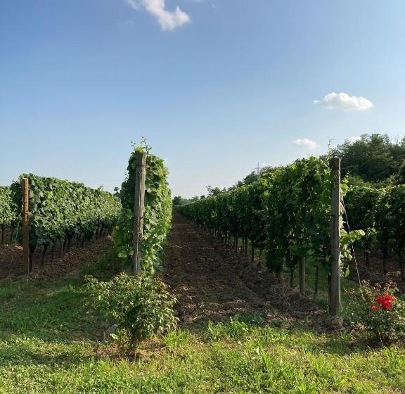 Отель Agriturismo Ripa Del Bosco