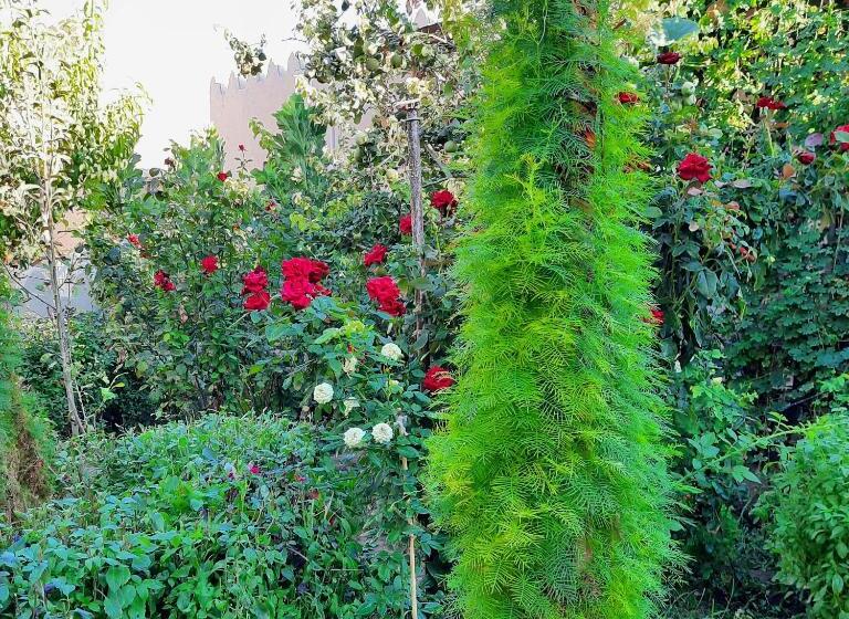 پانسیون Guest House Khiva Boyjon Ota