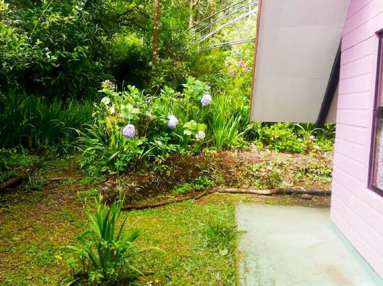 膳宿费 Cabañas Las Orquideas