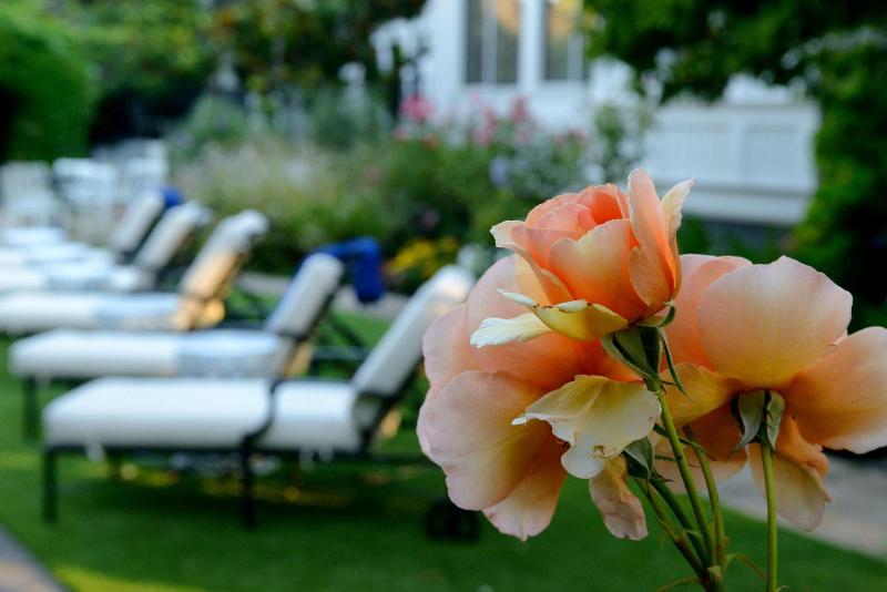 تختخواب و صبحانه The White House Napa Valley