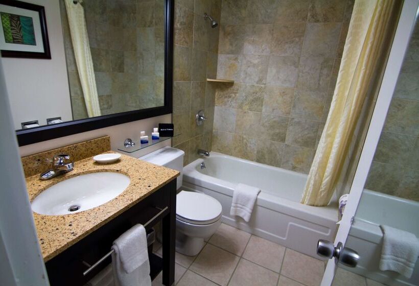 فندق Best Western Plus Plattsburgh