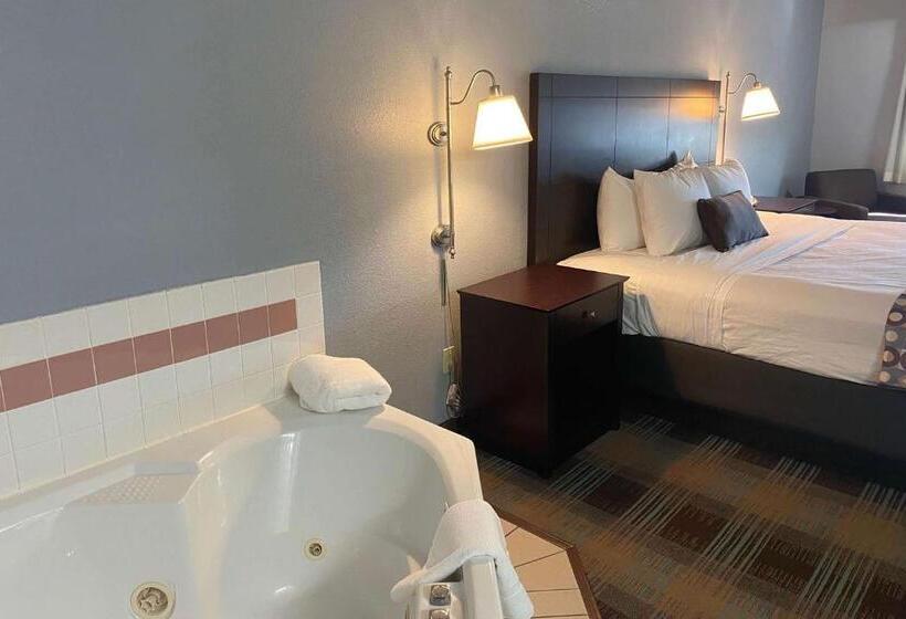 ホテル Baymont By Wyndham Danville Il