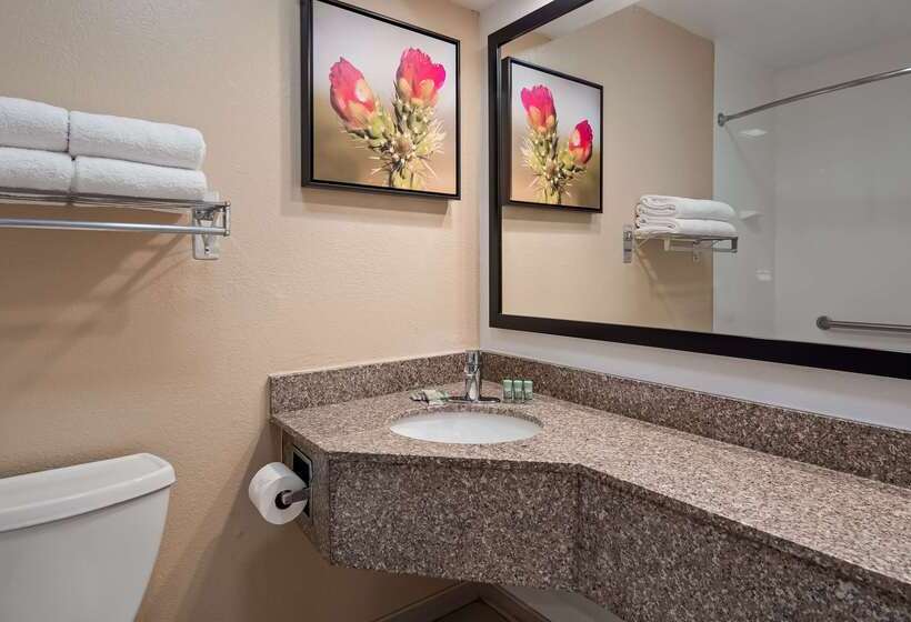 هتل Best Western Santa Rosa Inn