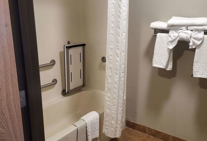 هتل Best Western Sawtooth Inn And Suites