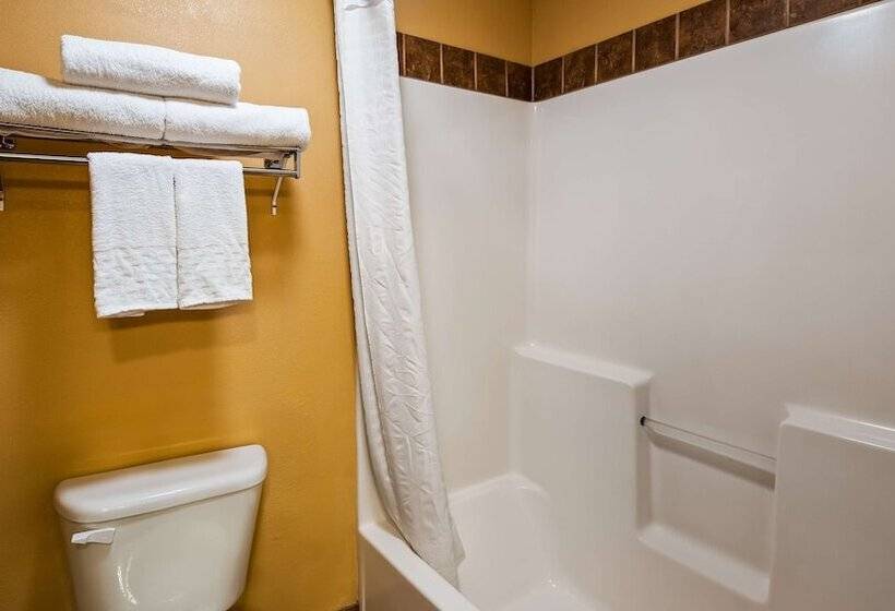 هتل Best Western Sawtooth Inn And Suites
