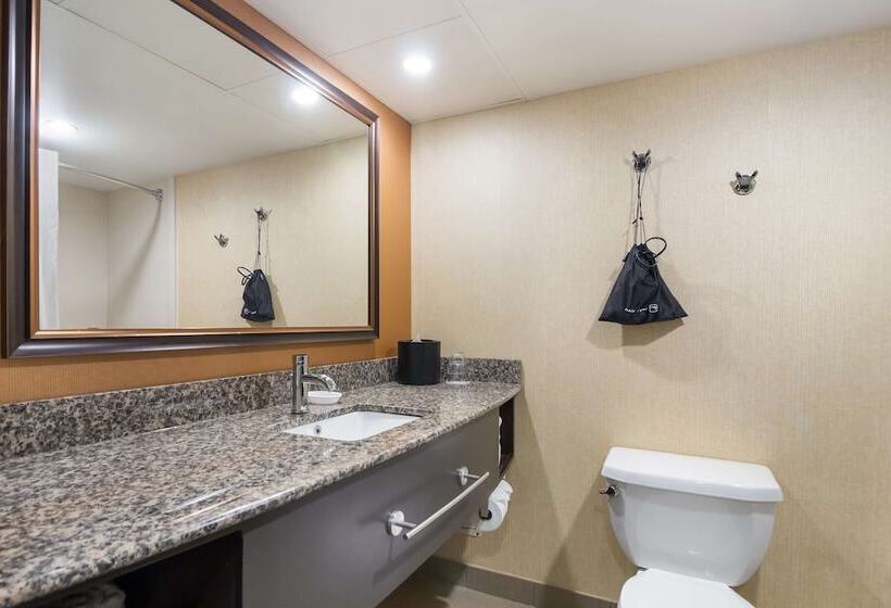 酒店 Best Western Suites Near Opryland