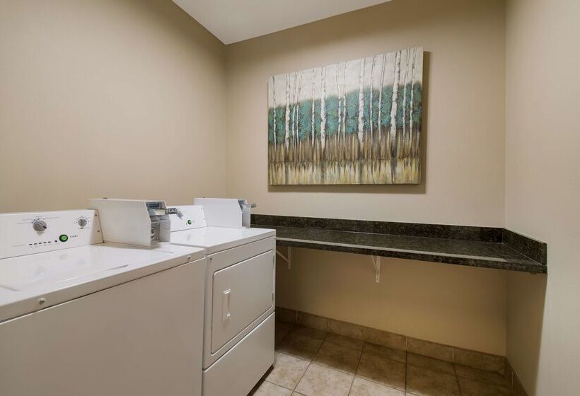 فندق Best Western University Inn And Suites