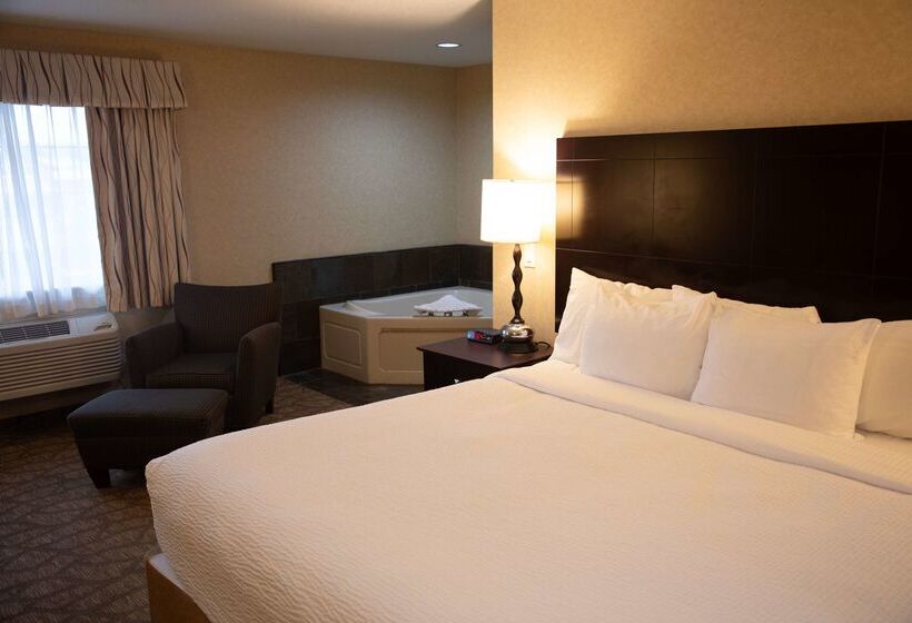 فندق Best Western University Inn And Suites