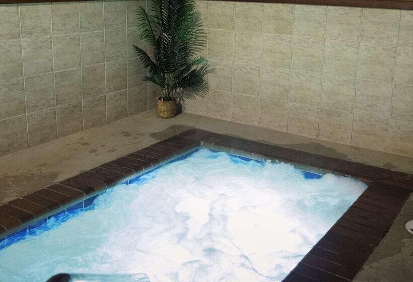 فندق Best Western University Inn And Suites