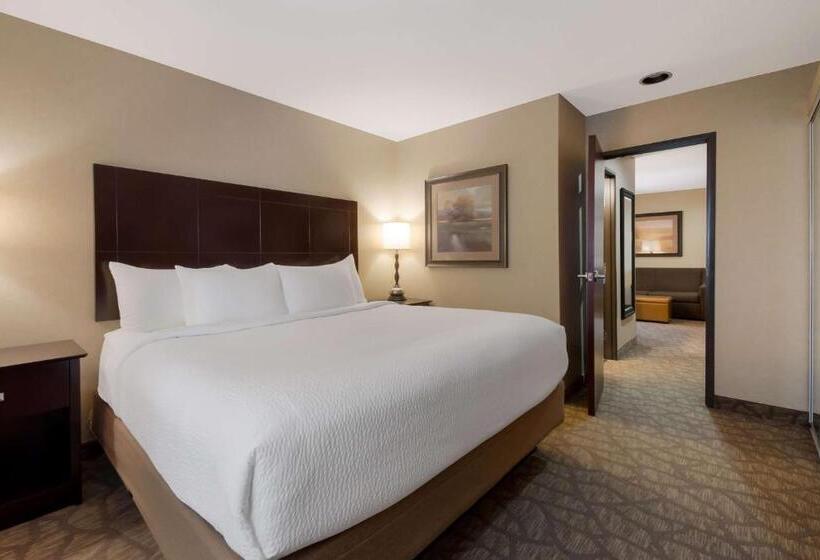 فندق Best Western University Inn And Suites