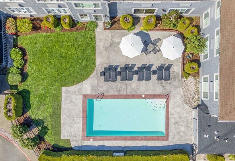 فندق Best Western Wesley Inn & Suites