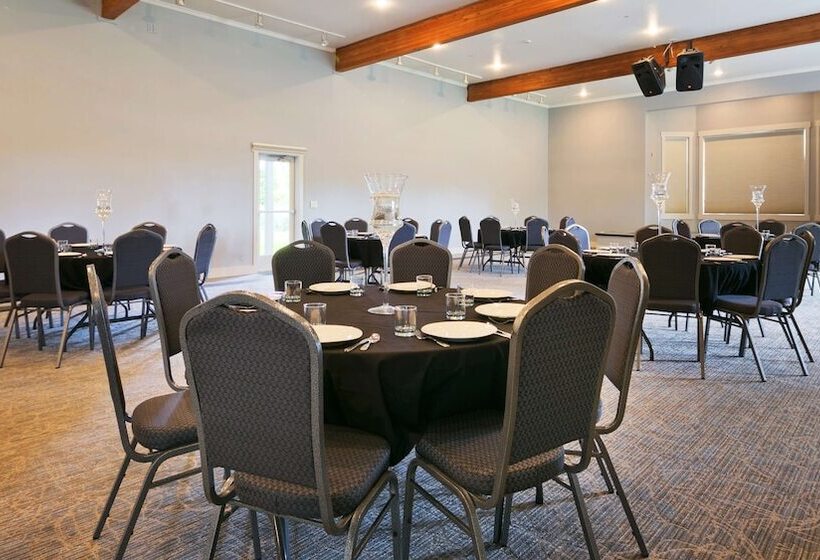 فندق Best Western Wesley Inn & Suites