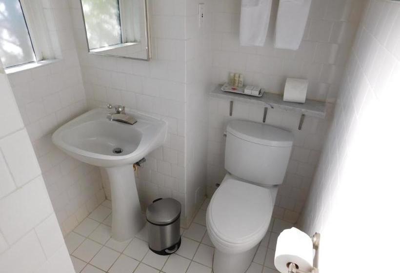 Отель Le Petit Pali Brentwood