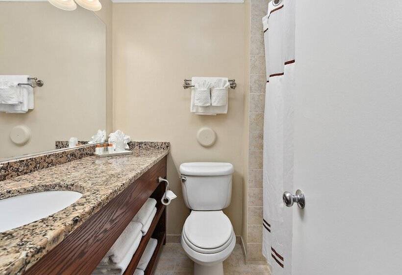 فندق Brighton Suites