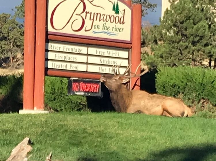 Hotel Brynwood On The River