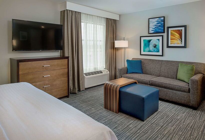 Hotel Homewood Suites By Hilton St. Louis Westport