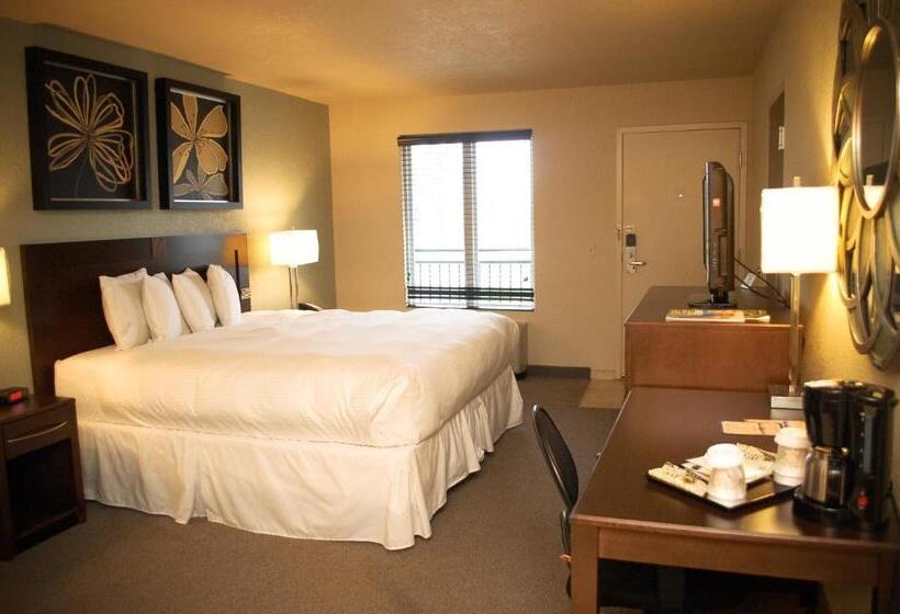 酒店 Unique Suites