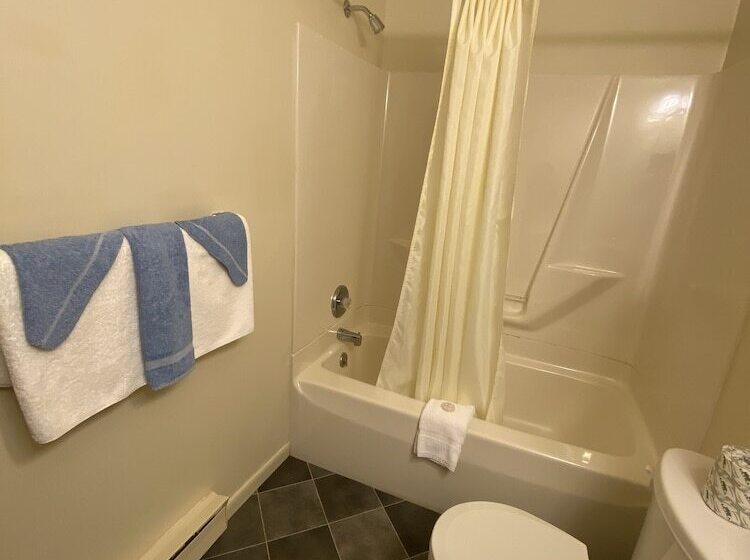 فندق على الطريق Birchwood Inn