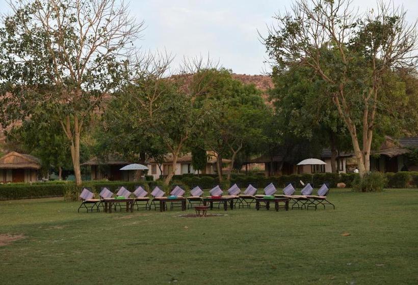 منتجع Dera Village  The Clement Retreats