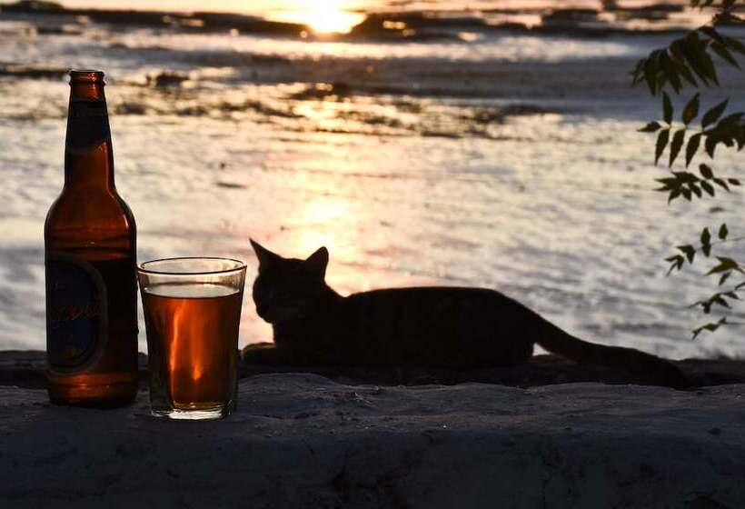 Bella Vista Resort Zanzibar