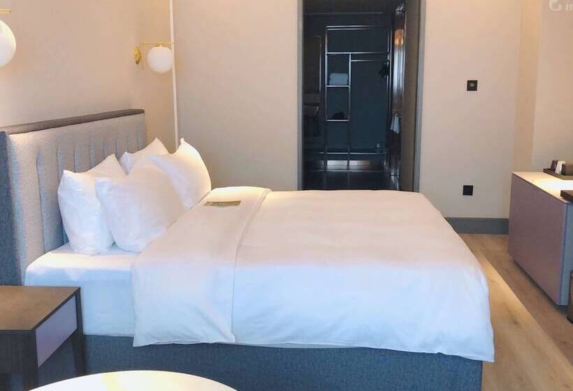 Отель Mercure Xian Qujiang